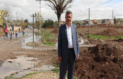 Batman'da 8 dönümlük alana park inşa edilecek!