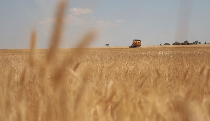 Emtia piyasasında resesyon depremi! Altın, buğday, pirinç, petrol, doğalgaz fiyatlarında şok!