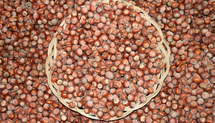 Fındık fiyatı ne kadar? Serbest piyasada fındık fiyatları kaç TL? Ordu, Samsun, Sakarya 20 Aralık 2022 fiyat listesi