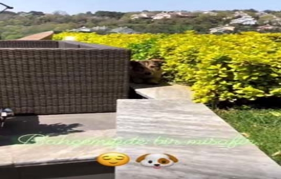 Burak Özçivit ile Fahriye Evcen in merak edilen yeni evi!