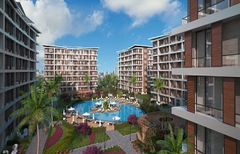 AKS Focus Beylikdüzü satışta! 250 bin TL ye!