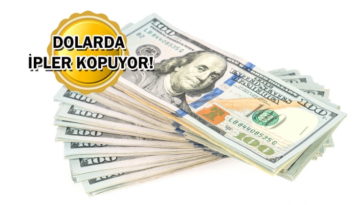 1 doları bile olan buz kesti! O tarihte dolar 30 TL olacak! 1 dolar bugün ne kadar? 29 Temmuz 2023 dolar kuru...