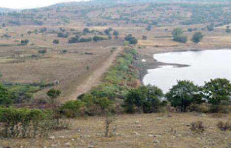 Balya'da çiftçiye dekar başı 12 kat gelir!