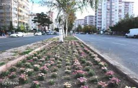 Melikgazi Belediyesi 25 bin fidan dağıtacak!