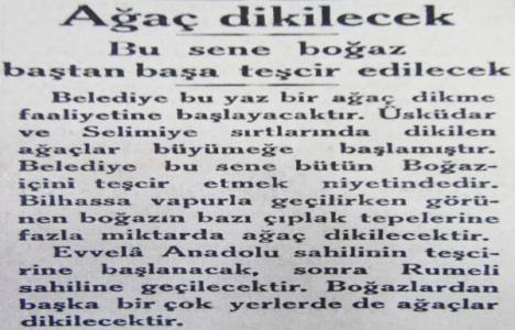 1932 yılında belediye Boğaz'ı ağaçlandırmış!