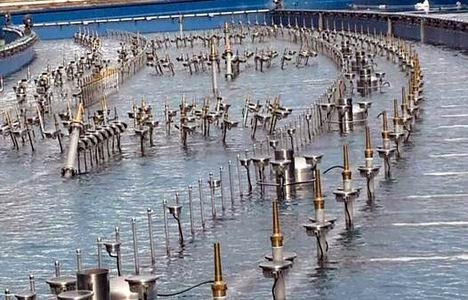 Ankapark son durum fotoğrafları!