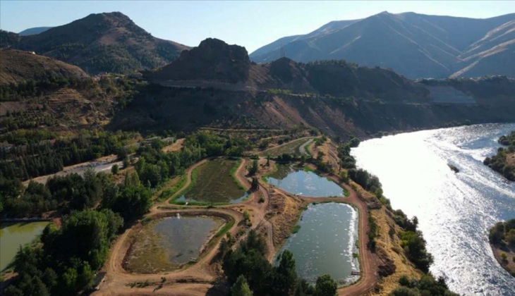 Dünya Bankası’ndan kırmızı alarm! Böyle giderse bir bardak suya muhtaç olacağız! Su kıtlığı kapıda!