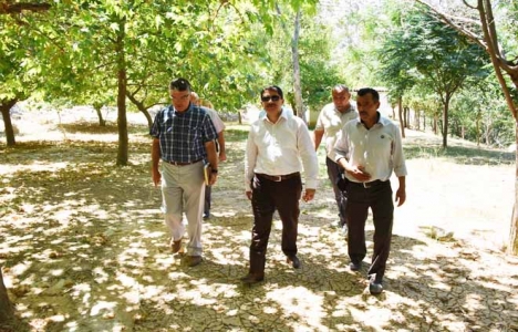 Manisa Şehzadeler'de mesire alanları yenileniyor!