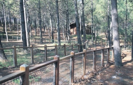 Mehmet Tevfik Göksu dan Kemerburgaz Kent Ormanı açıklaması!