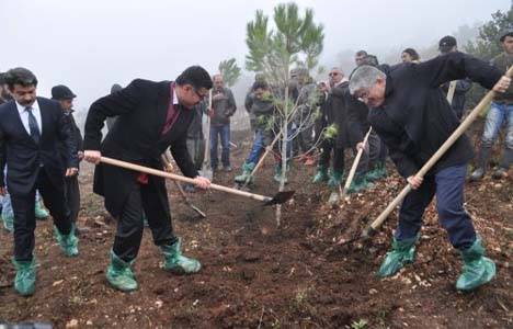 Balıkesir'de yaklaşık 3,5 milyon fidan dikilecek!