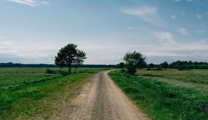 Belediye İzmir’de 40 bin TL’ye zeytinlik satıyor!