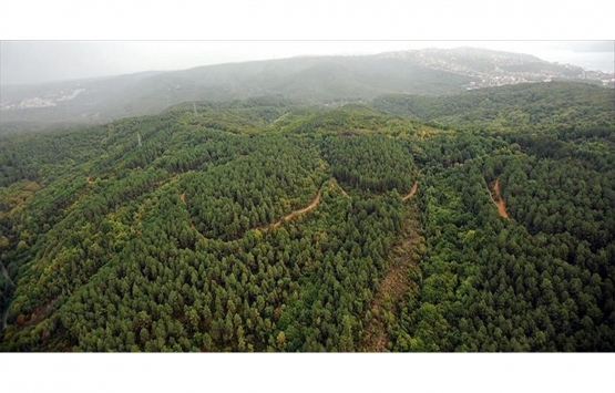 Yanan ormanlar yerleşime ve turizme açılabilir mi?