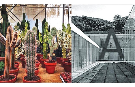 İşte Asena Erkin in Beykoz Konakları ndaki camla kaplanan villası!