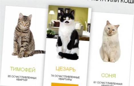 Sberbank'tan ev kredisi alana kedi hediye!