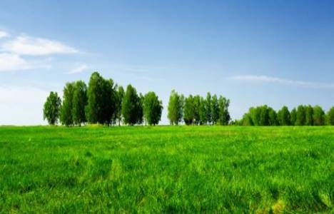 Antalya'da 2B tapularının yüzde 82'si dağıtıldı!