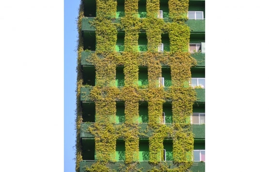 Adana da sarmaşık kaplı binada daire fiyatları 1 milyon TL yi aştı!