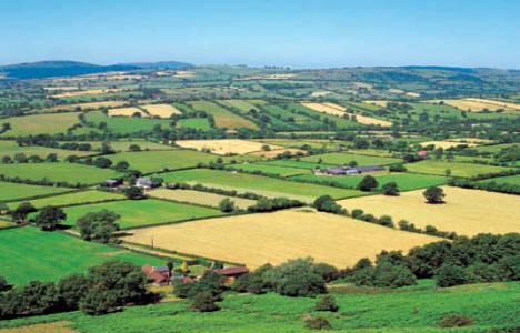 Tarımsal arazi parsel büyüklüklerinin belirlenmesi!