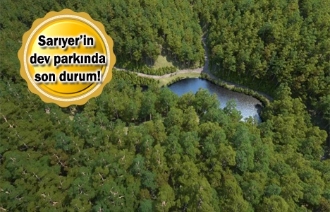 Hacı Osman Korusu park çalışmaları 2018'de başlayacak!