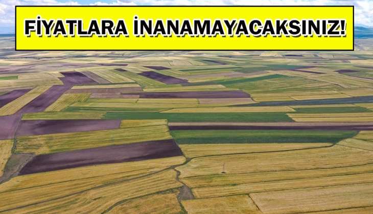 Tekirdağ Belediyesi 14 arsa satıyor! Arsa almak isteyenlere büyük müjde!