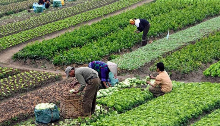 Depremzede çiftçiler için yeni adım! Bir yıl ertelecek