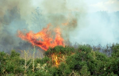Yatağan'da 1 hektar orman alanı yandı!