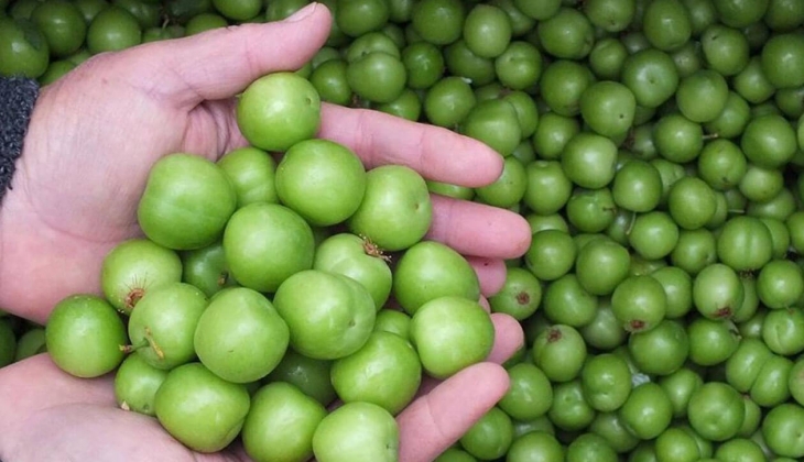 Eriğin fiyatı cep yakıyor! Eriğin fiyatı ne zaman ucuzlayacak?