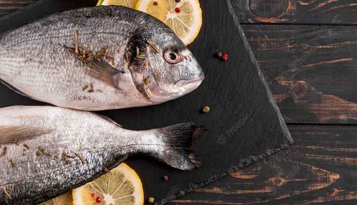 İstanbul Balık Hali fiyatları açıklandı! İşte 1 Haziran 2022 Dip balık, Pelajik balık, İç su balık fiyat listesi