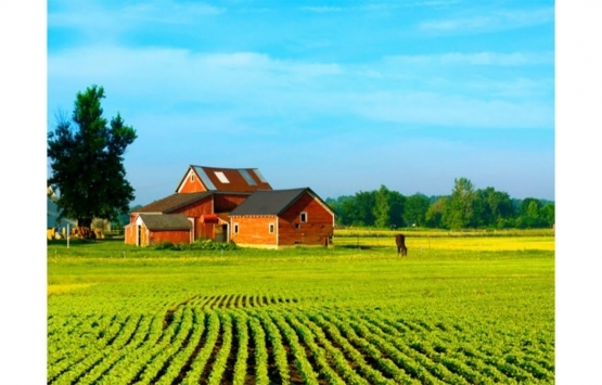 Çiftlik kiralayanların sayısı arttı!