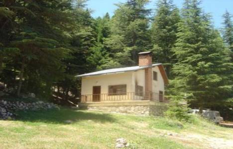 Mesire yerlerinin yönetimi!