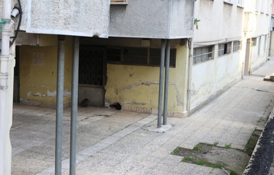 Rize deki Pisa kuleleri demirlerle destekleniyor! 