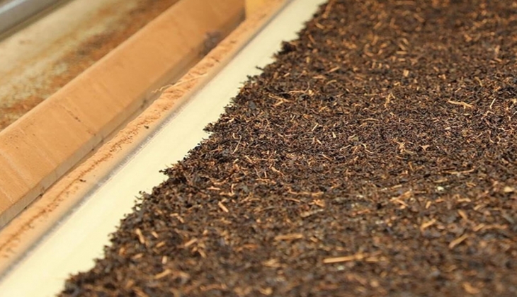 ÇAYKUR dan son dakika müjdesi: Yaş çay bedeli ve organik çay desteği hesaplara yattı! Yarın hemen alabilirsiniz!