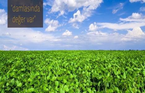 Altınyağ Kombinaları projeleri