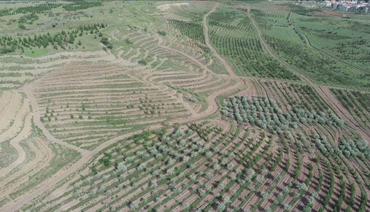 Atatürk Orman Çiftliği ndeki 3 dönümlük alan Samsat Belediyesine 6.500 TL ye kiralandı iddiası Meclis te!