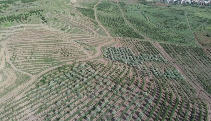 Limak ın Atatürk Orman Çiftliği ndeki rezidans ve ticaret projesine yargıdan ret!