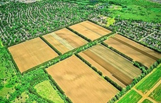 1 dekar kaç metrekaredir? Dekar metrekareye nasıl çevrilir?