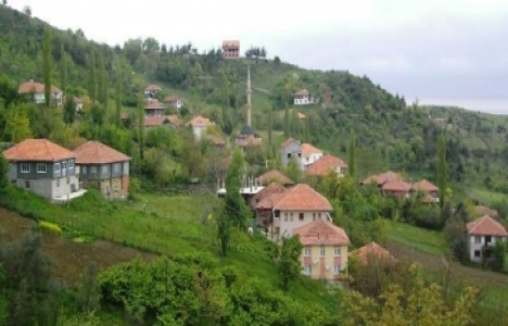 Sinop Ayancık'ta maden ocağı projesi protesto edildi!