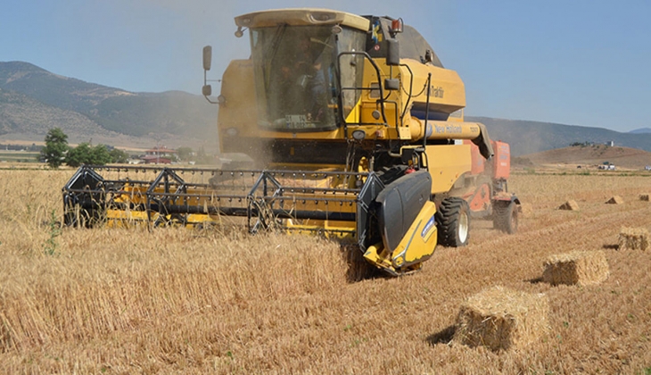 Buğday rekoltesinde son dakika! Çiftçiler dikkat! Hem TMO hem Hububat Konseyi açıkladı! 