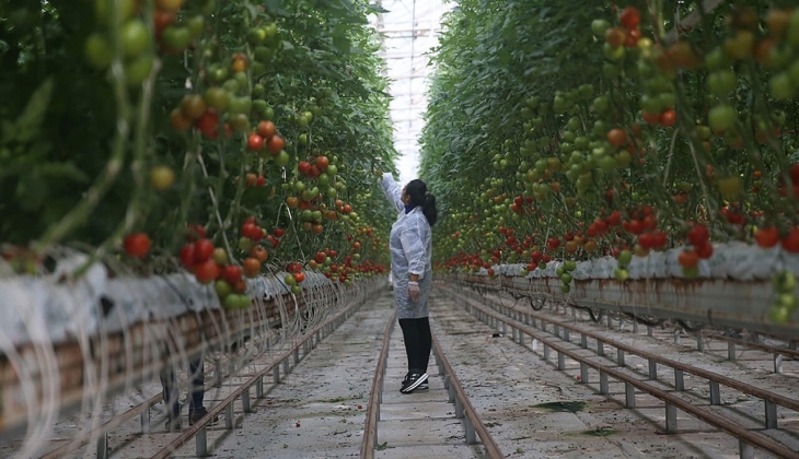 Çiftçilere 50 milyon TL kredi müjdesi! Seracılıkta tarihi yatırım fırsatını kaçırmayın! İşte kredi detayları...