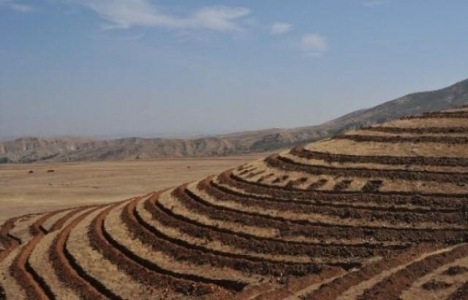  Murat Havzası Rehabilitasyon Projesi kapsamında 150 bin fidan dikildi!