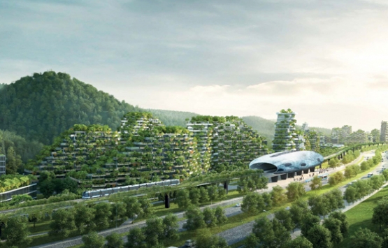 Dünyanın ilk orman şehri Çin’de inşa edilecek!