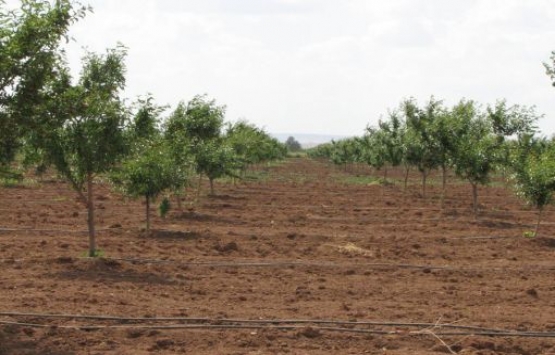 Ücretsiz tahsis edilecek sahalar için son başvuru 23 Kasım!
