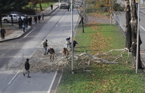 Yalova Tonami Meydanı'na köprülü kavşak yapılacak!