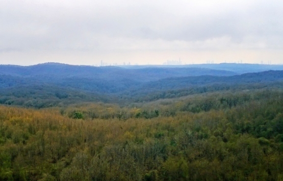 Orman Kanununun 16. Maddesinin Uygulama Yönetmeliğinde Değişiklik 2018!