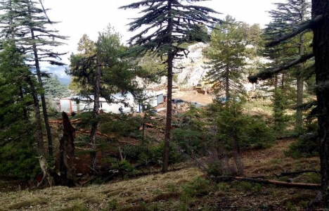 Ekizce Yaylası ndaki mermer ocağı çalışmaları ormanı etkiledi!
