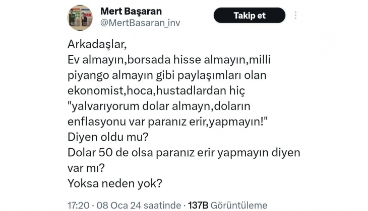Ekonomistler ve ekonomi profesörleri neden dolar yatırımı tavsiye ediyor?