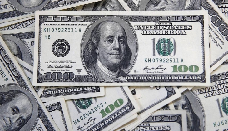 Dolar kuru neden sabitlendi?