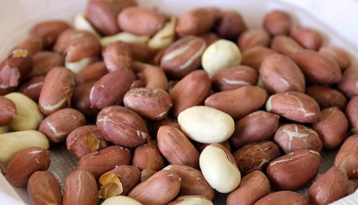 Seven Fıstıkçılık'a bir yıl süreyle konkordato kesin mühleti verildi!