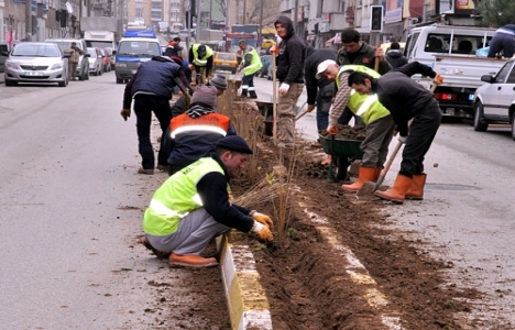 Kilis'te çevre peyzaj çalışmalarına başlandı!