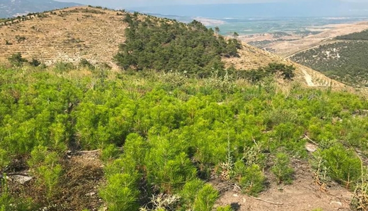 Denizli de yüzde 20 indirim fırsatıyla satılık 14 arsa! 63 bin TL den başlayan fiyatlarla...