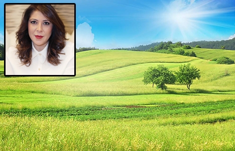 Arsa en güvenilir yatırım aracıdır!